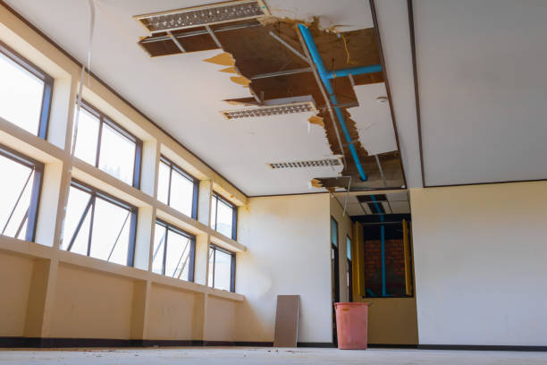 Best Water damage repair service  in South Dos Palos, CA