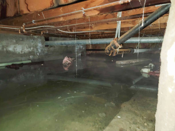 Best Emergency water damage restoration  in South Dos Palos, CA