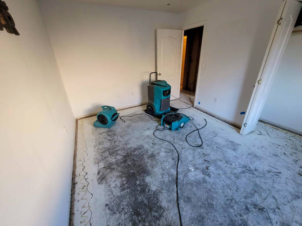 Best Flood restoration services  in South Dos Palos, CA