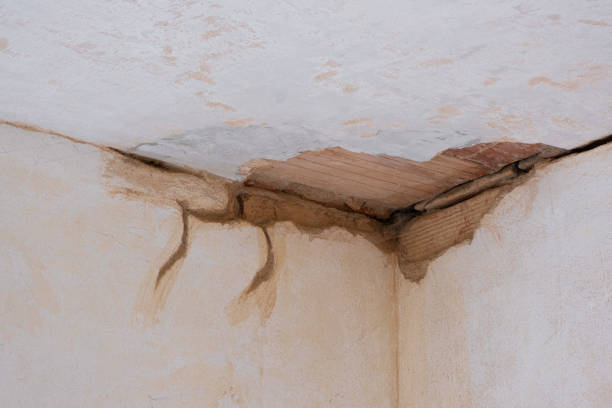 Best Water damage contractors near me  in South Dos Palos, CA