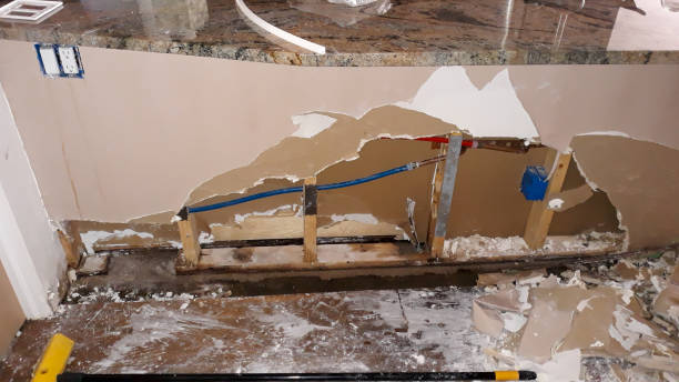 Best Ceiling water damage repair  in South Dos Palos, CA
