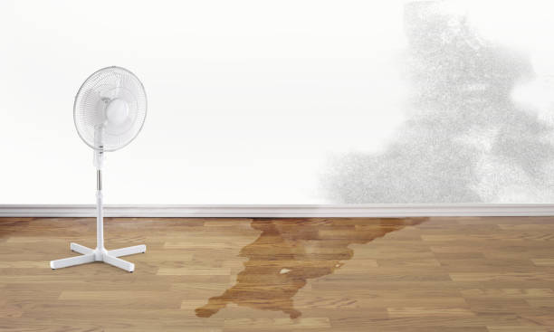 Best Sewage cleanup and water damage restoration  in South Dos Palos, CA