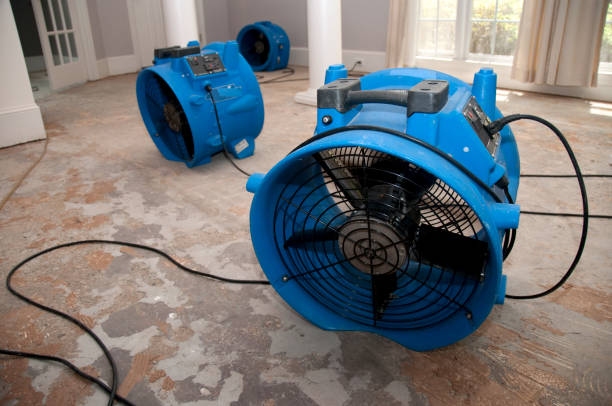 Best Carpet water damage restoration  in South Dos Palos, CA