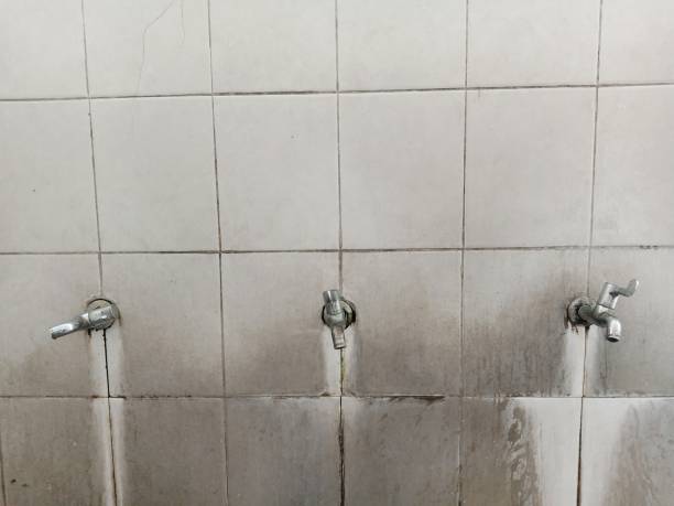 Best Water damage restoration process  in South Dos Palos, CA