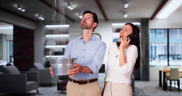 Best Professional water damage repair  in South Dos Palos, CA