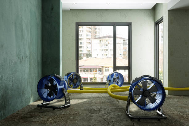 Best Water damage restoration near me  in South Dos Palos, CA